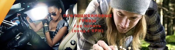 прущие грибы Абинск