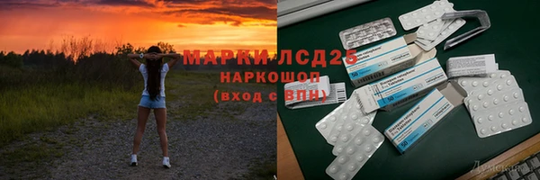 прущие грибы Абинск