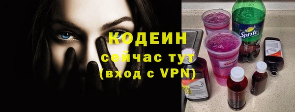 прущие грибы Абинск