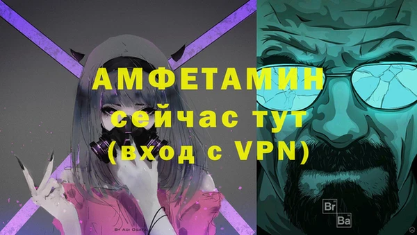 прущие грибы Абинск