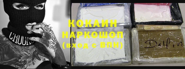 прущие грибы Абинск