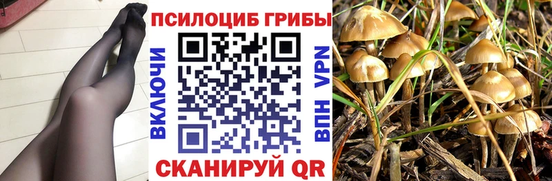 Галлюциногенные грибы ЛСД  Юрюзань 